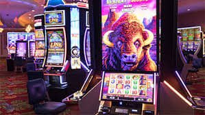 best bet9 Game rooms